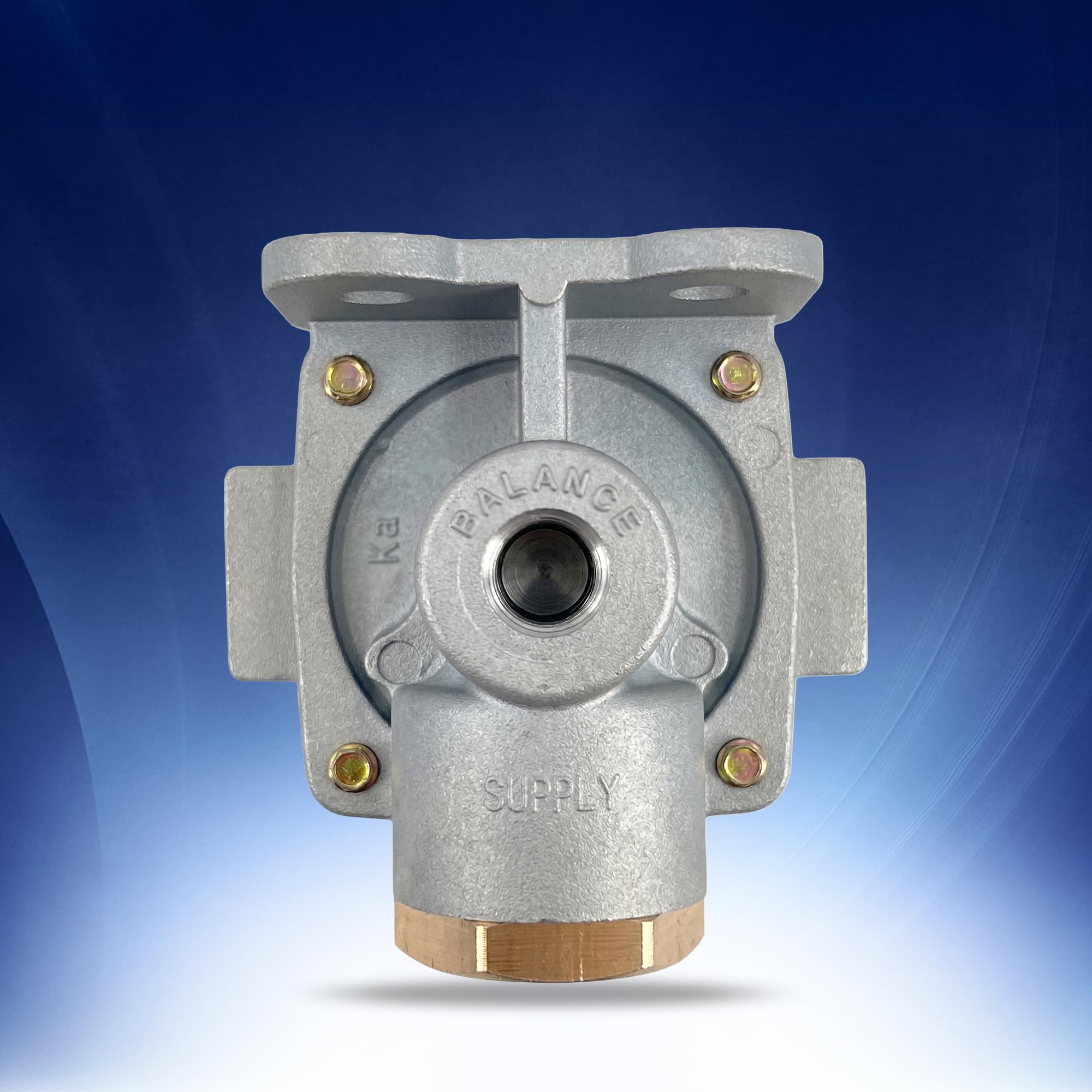 Amazon.com: Torque 289714 QR-1C Quick Release Valve Replaces